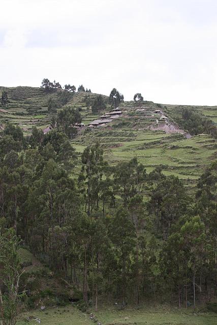 IMG 2514