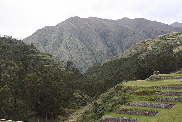 IMG 2522