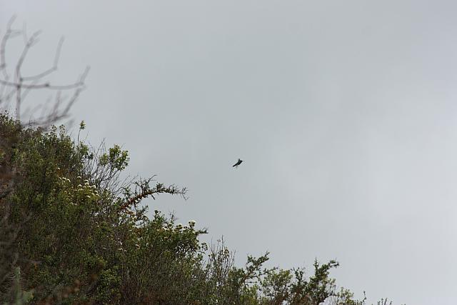 IMG 2552