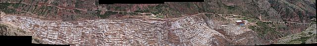 IMG 2594-600 stitch