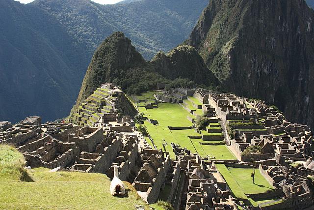 IMG 2742