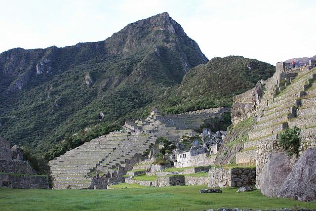 IMG 2866