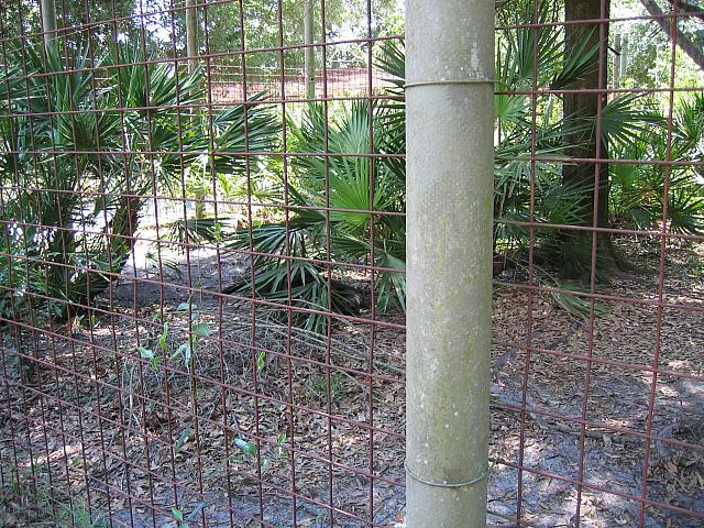 IMG 2426