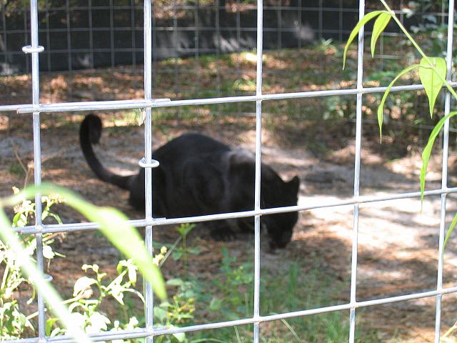 IMG 2459