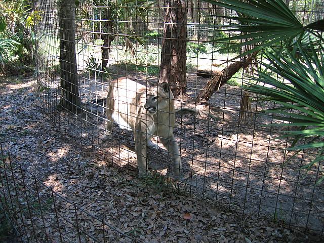 IMG 2486
