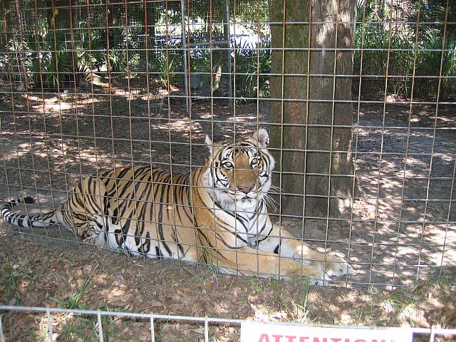 IMG 2503