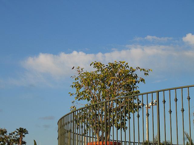 IMG 1358
