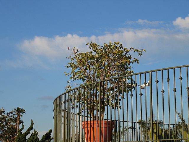 IMG 1359