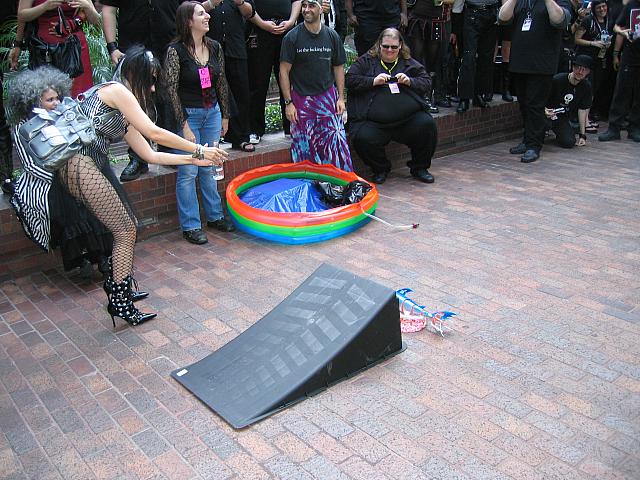 IMG 4201