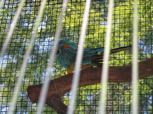 IMG 4305