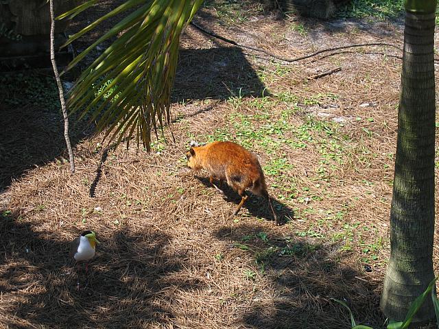 IMG 4339