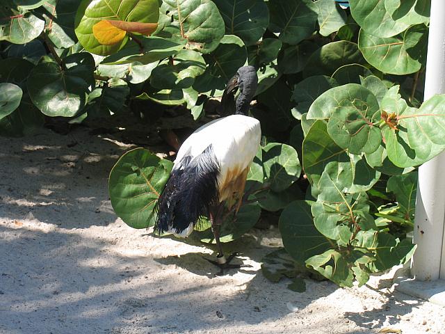 IMG 4351