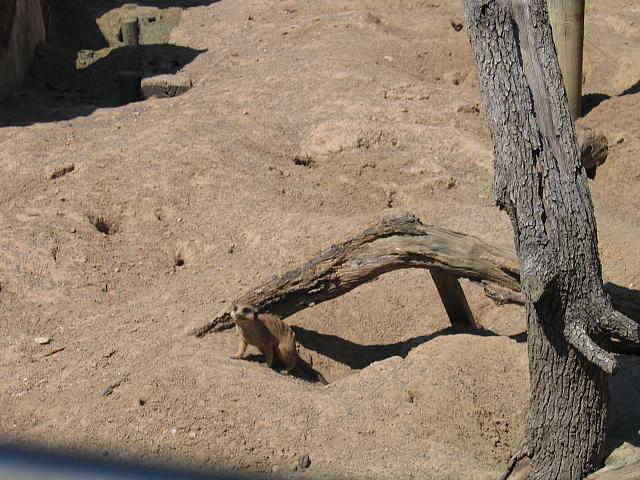 IMG 4357