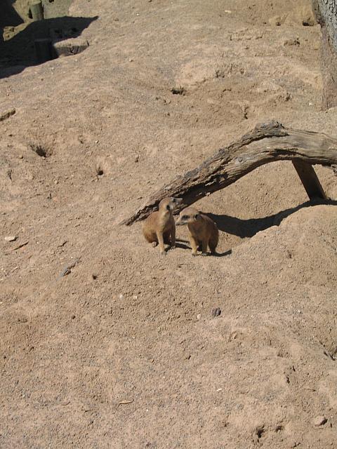 IMG 4362