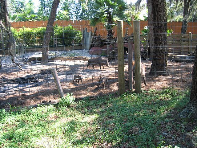 IMG 4367