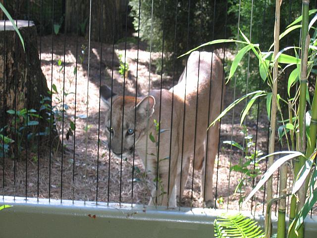 IMG 4399