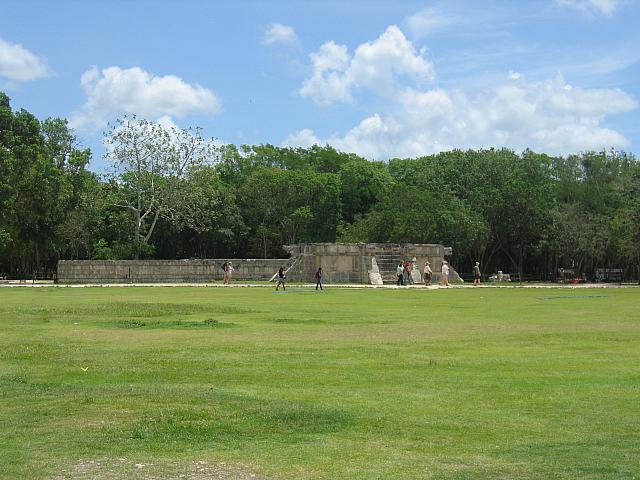 IMG 5209