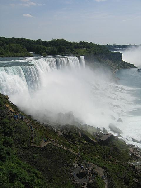IMG 5350