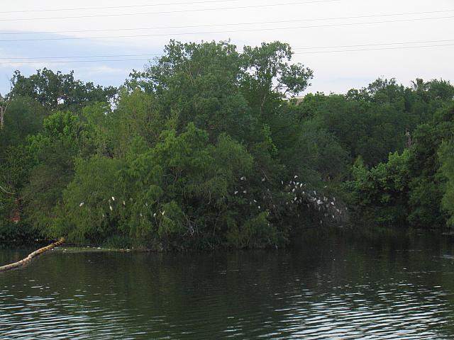 IMG 5775
