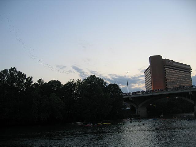 IMG 5776