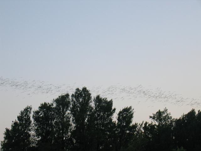 IMG 5778