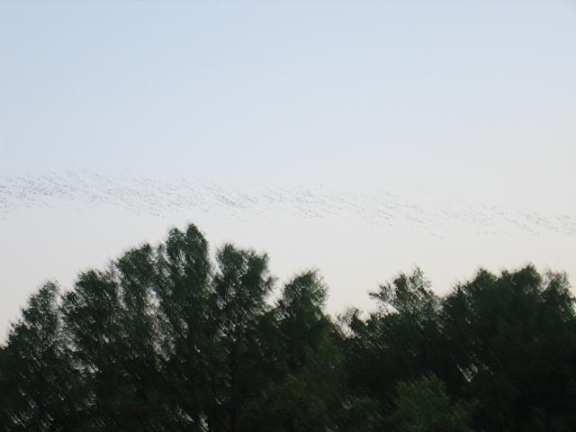 IMG 5779