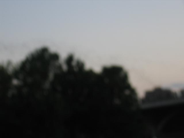 IMG 5781