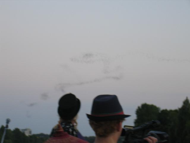 IMG 5785