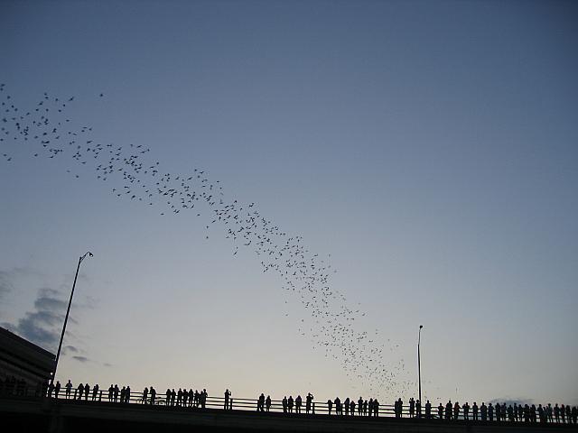 IMG 5788