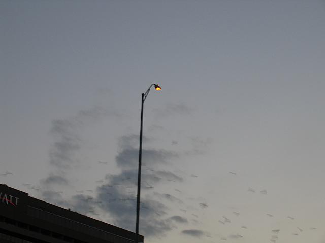 IMG 5790