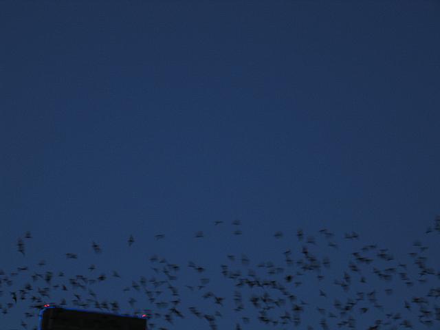 IMG 5792