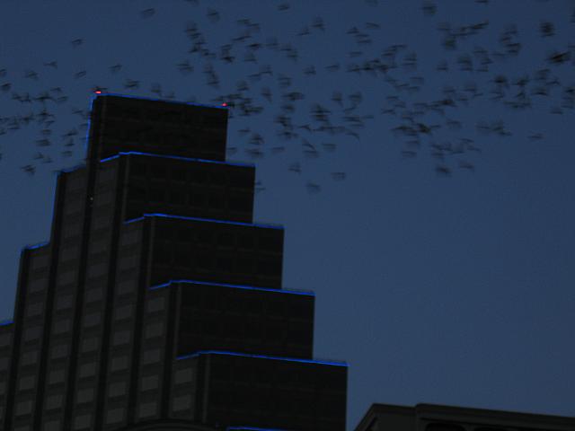 IMG 5793