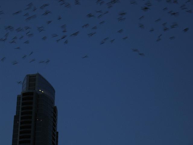 IMG 5795