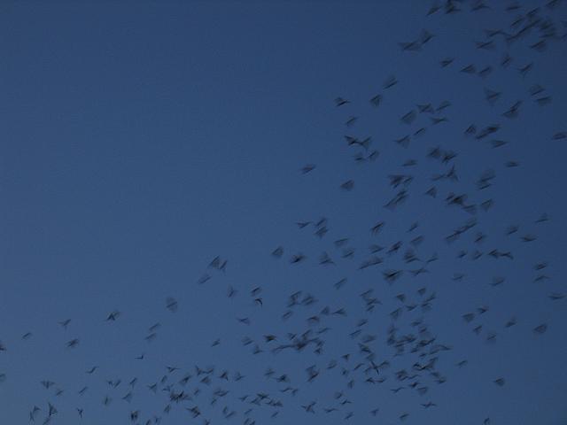 IMG 5796