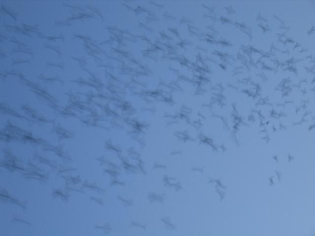 IMG 5800