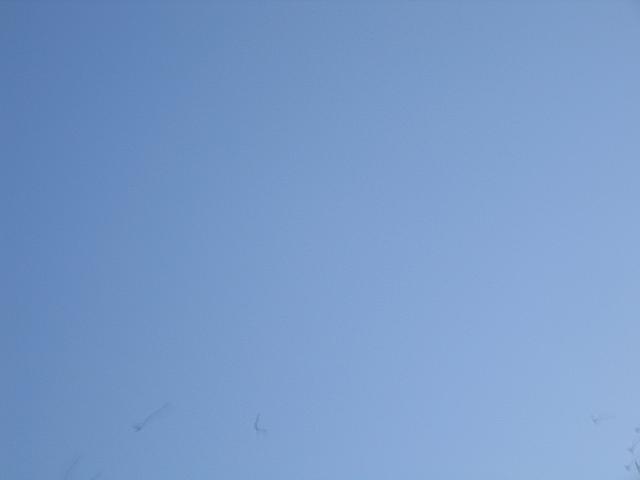 IMG 5802