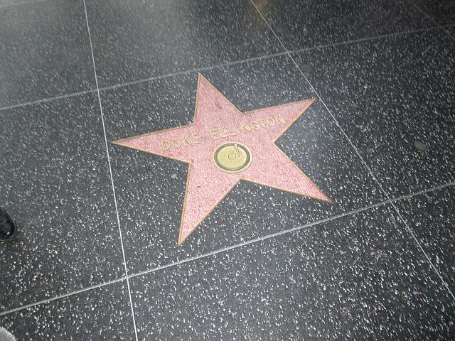 IMG 0101