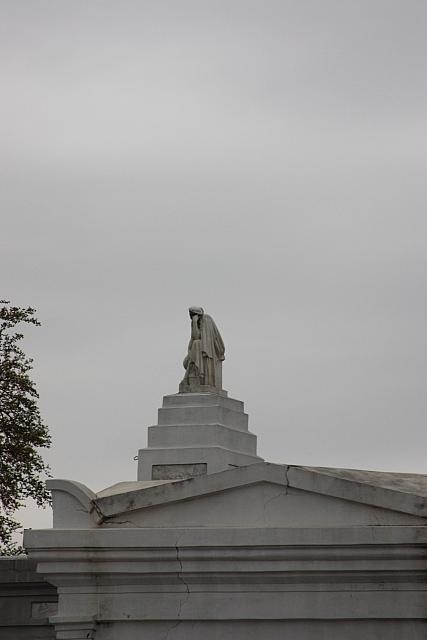 IMG 0003