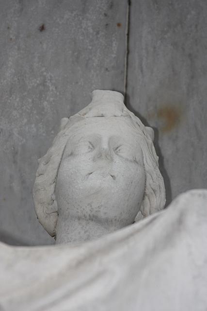 IMG 0039
