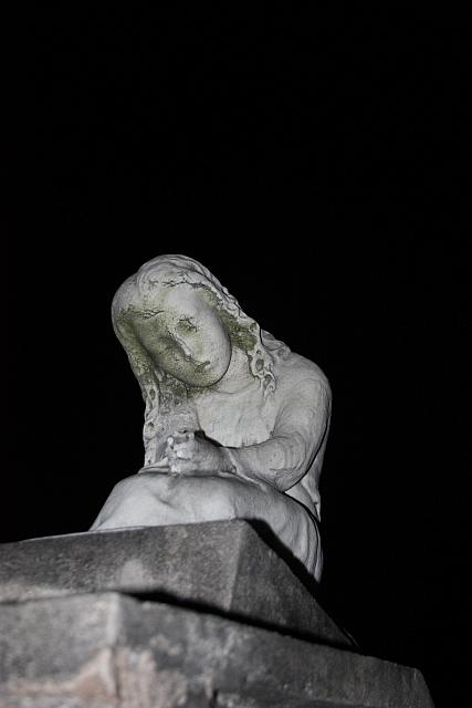 IMG 0069