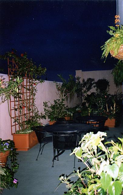 Image 009