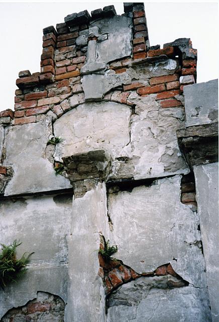 Image 019