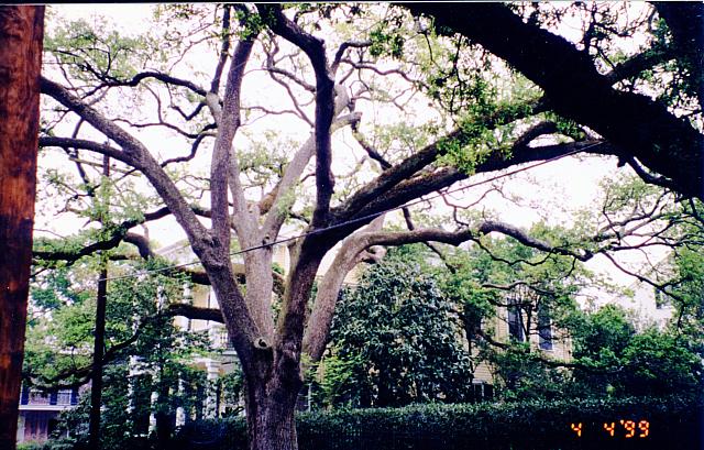 Image 049
