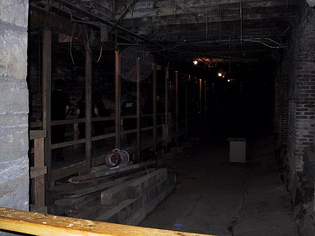 pic015