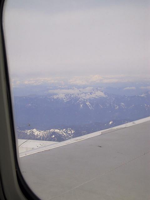 pic005