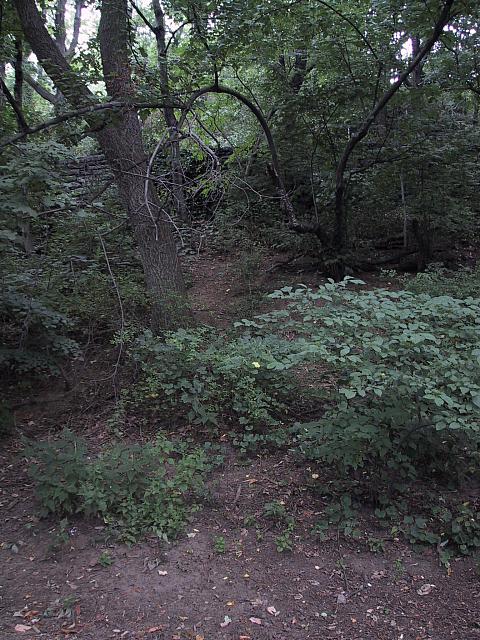 img 1954