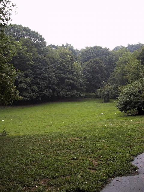img 1955