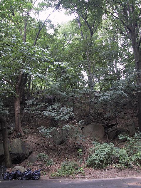img 1957