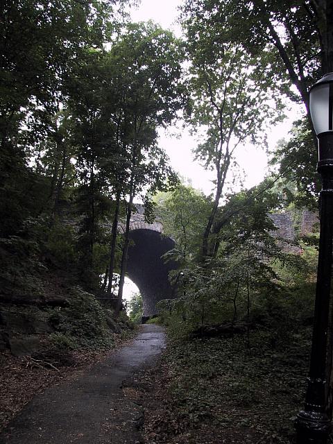 img 1958