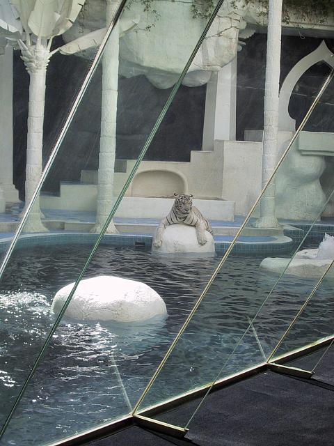 IMG 0072